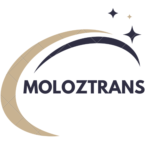 logo moloz trans